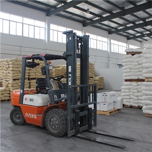 廠區(qū)環(huán)境