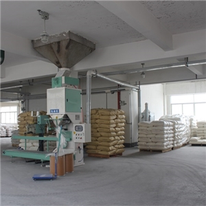 廠區(qū)環(huán)境