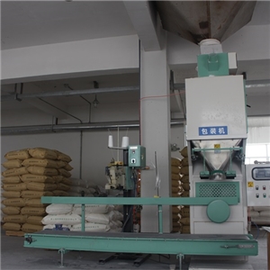 廠區(qū)環(huán)境