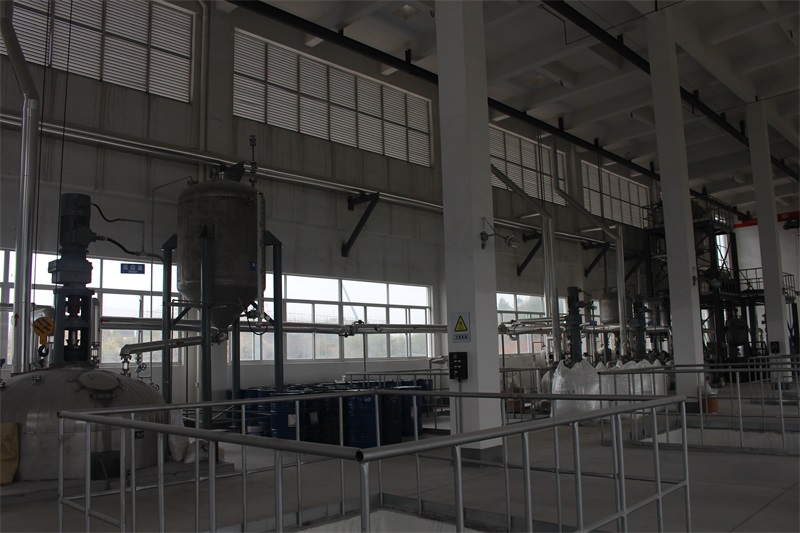 廠區(qū)環(huán)境